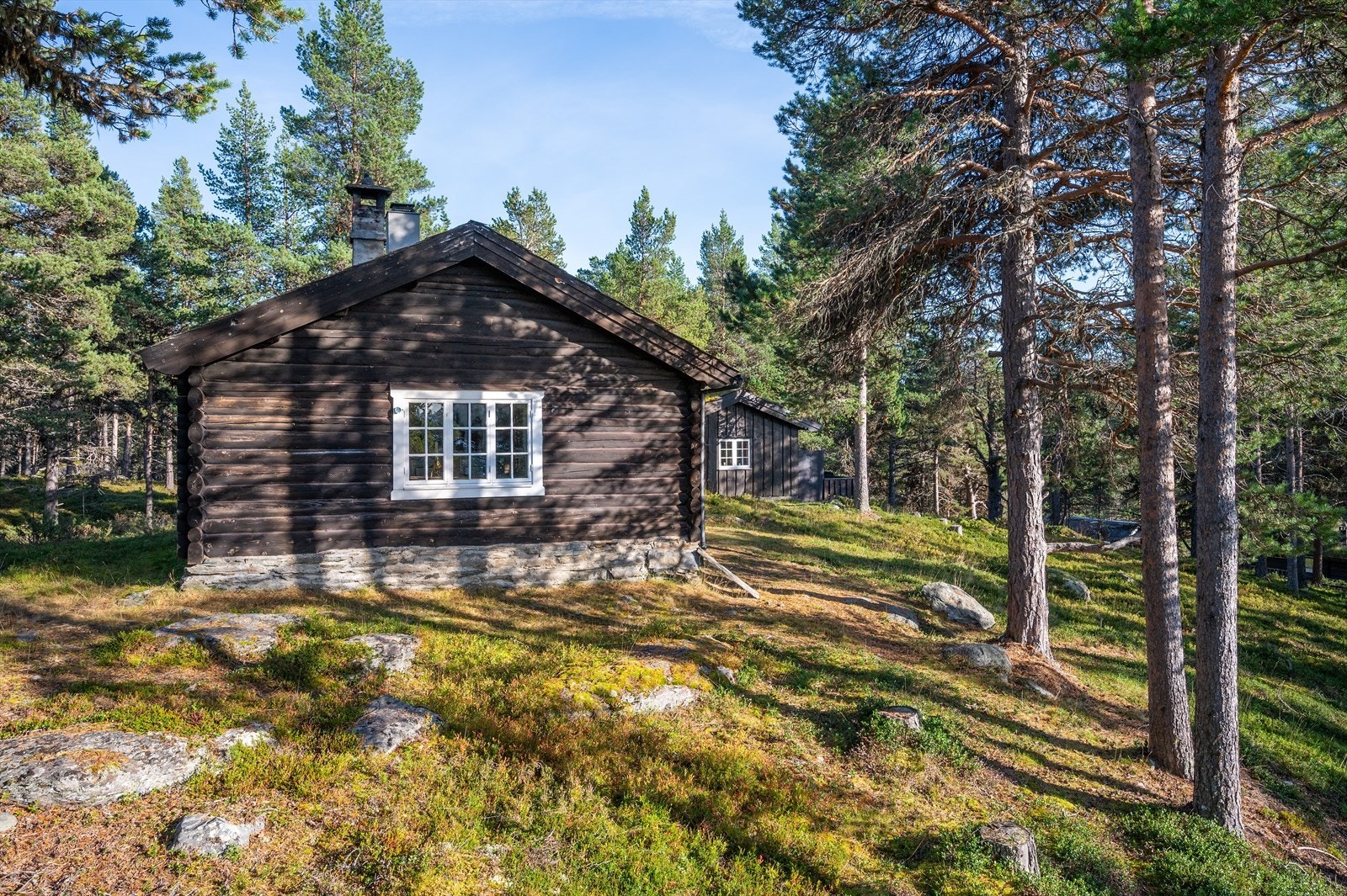 Eiendommen ligger på en punktfestet naturtomt med stein, lyng, busker og trær. Galleribilde