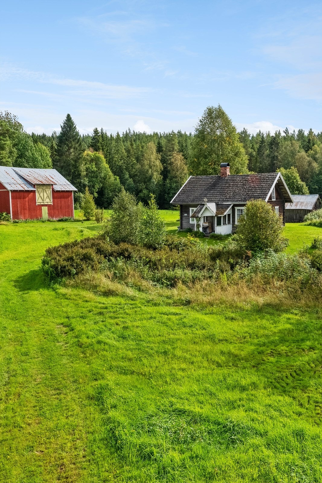 Deler av tomten består av skog Galleribilde