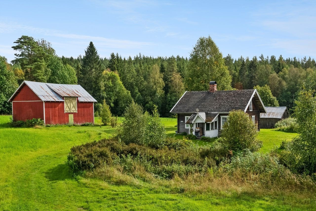 Velkommen til Åsliavegen 272! Galleribilde