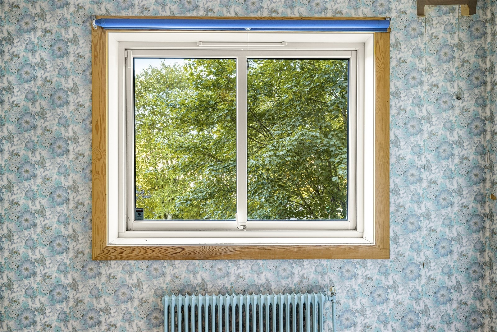 Vinduer fra 2000. Galleribilde