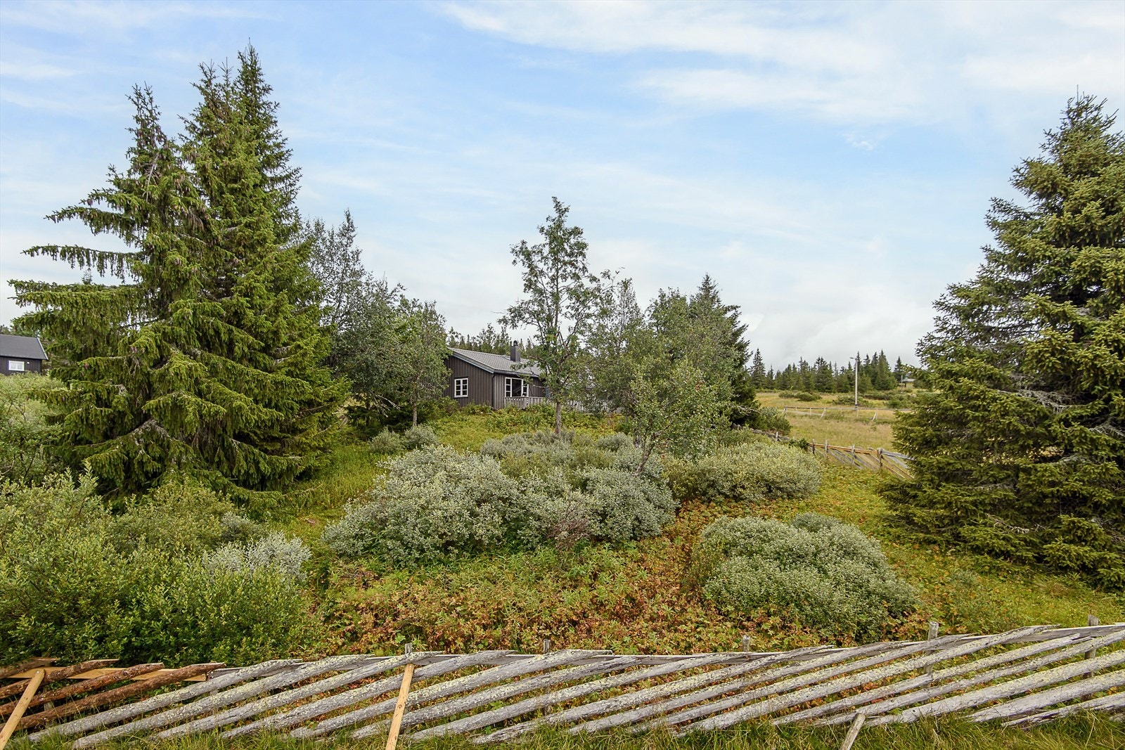 Fritt og fint rundt hytta med liten trafikkbelasning. Barnevennlig. Galleribilde