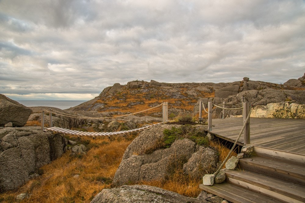 Stemningsbilder fra Rodvelt Galleribilde