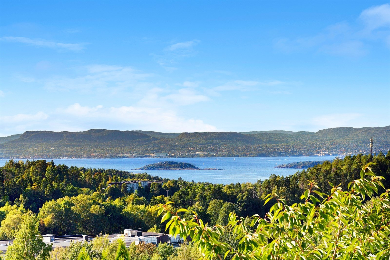 Idylliske omgivelser. Galleribilde