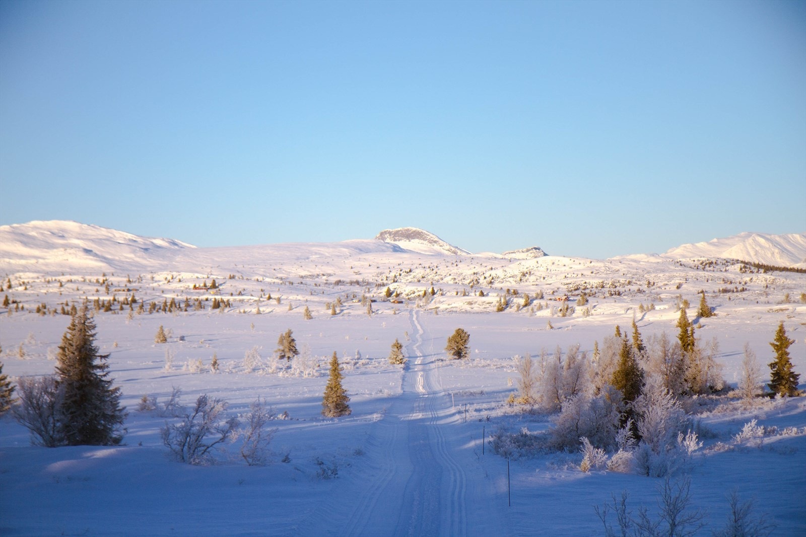 Skiløypene går videre innover i høyfjellet mot både Hemsedal og Ål. Galleribilde