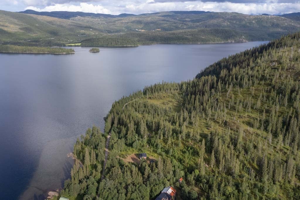 Områdebilde Galleribilde