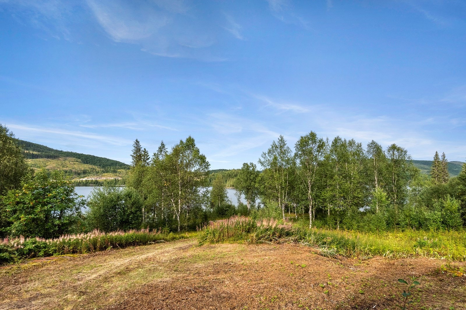 Tomta går helt ned til vannet og har strandlinje Galleribilde