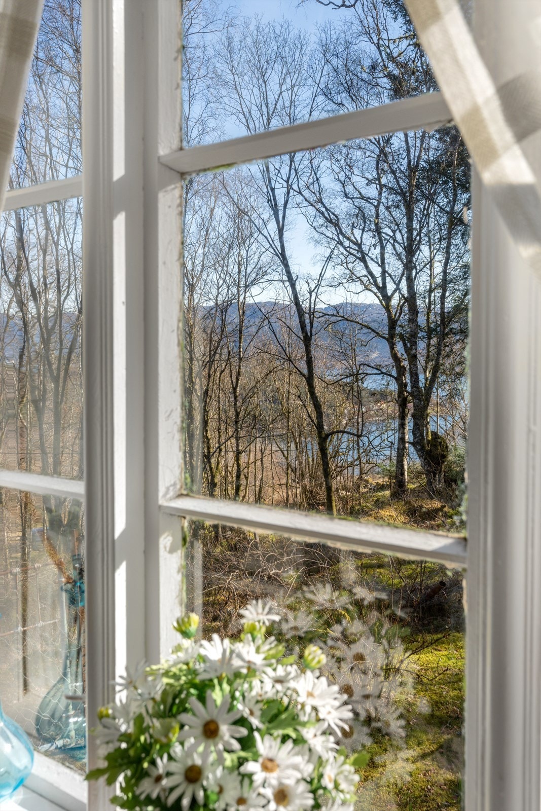 Utsikt fra stuen Galleribilde