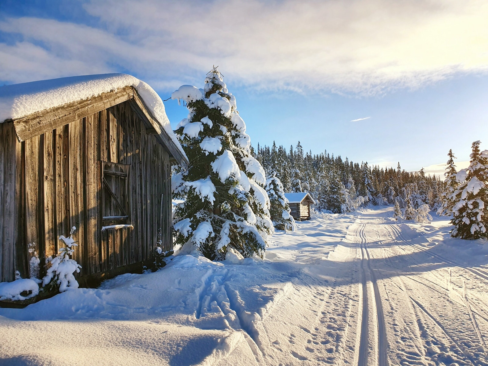 Fra feltet kan du velge mellom 3 retninger på ski. Galleribilde