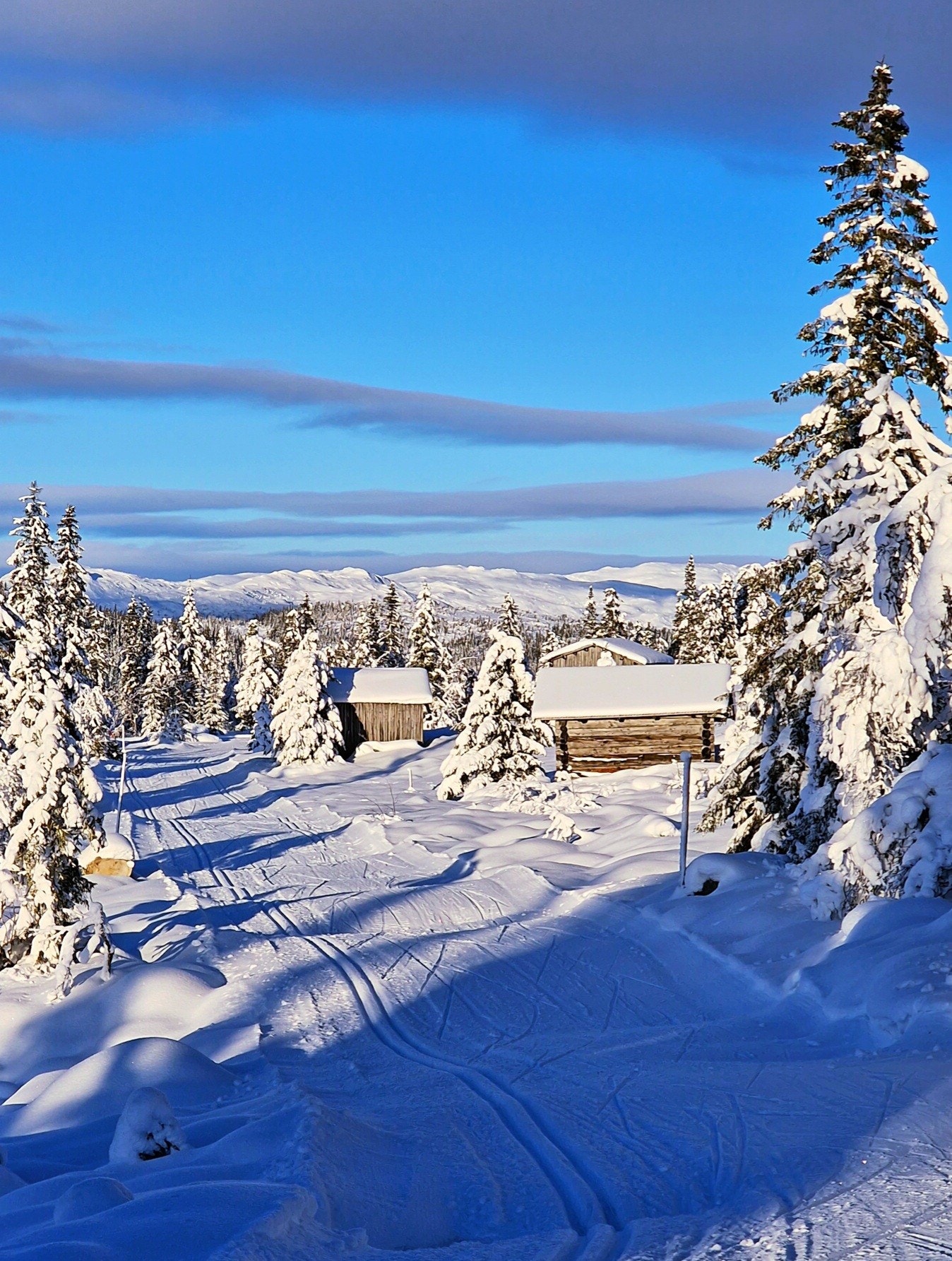 Vegglifjell har over 110 km preparerte skispor, som du kan utforske fra hyttefeltet. Galleribilde