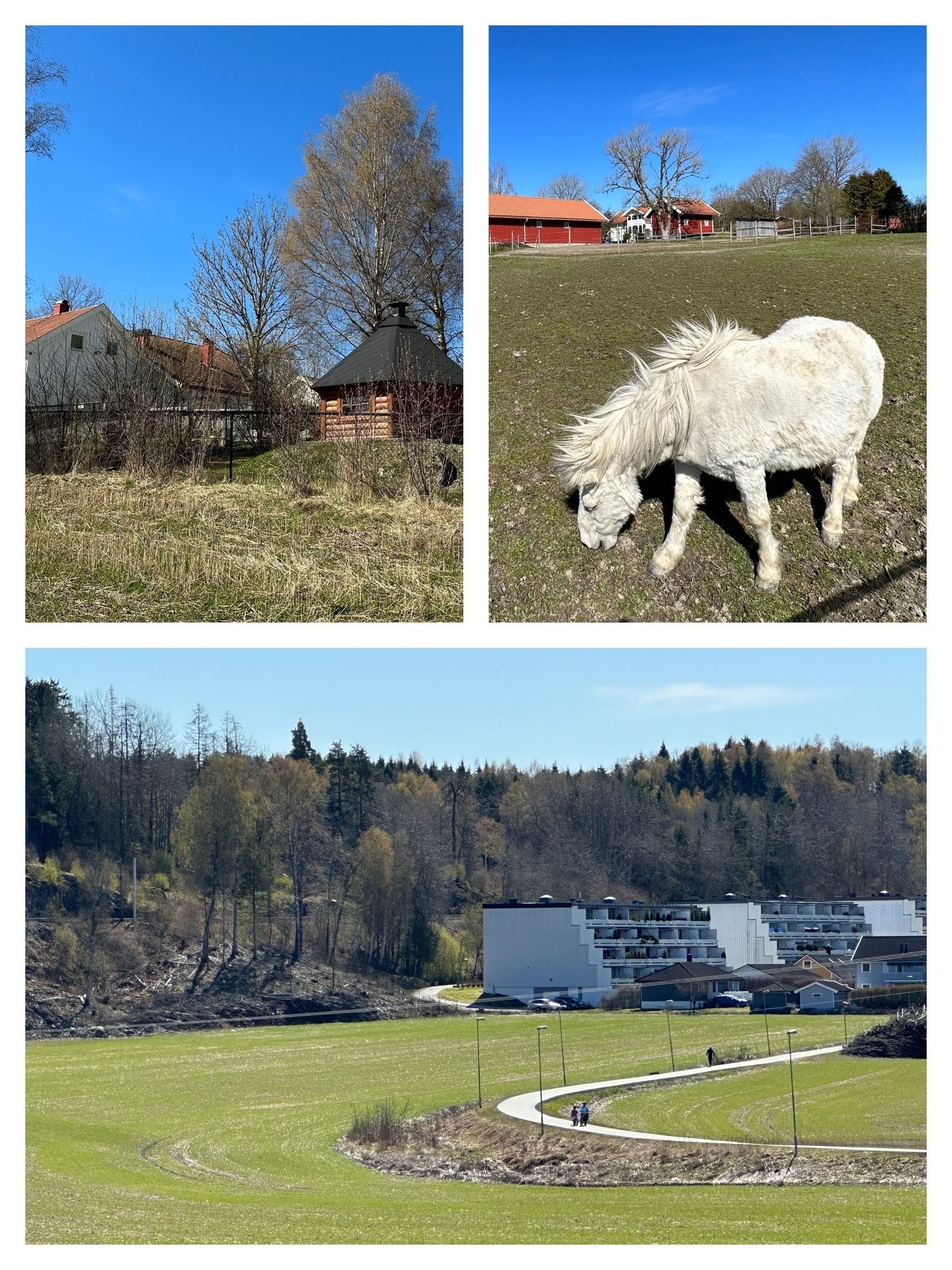 Området har nærhet til skoler og barnehager. Galleribilde