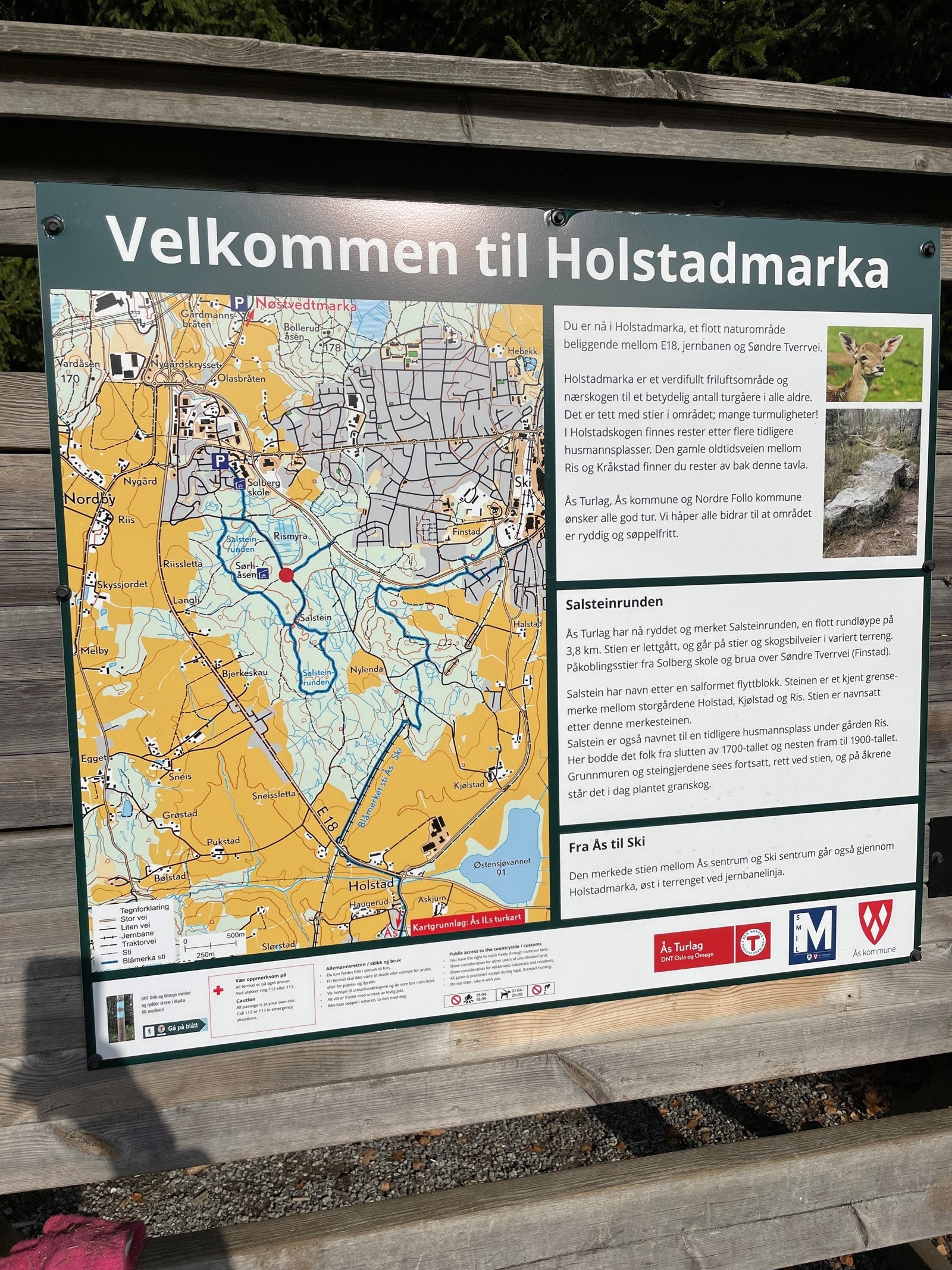 Nærmarka, like over veien Galleribilde