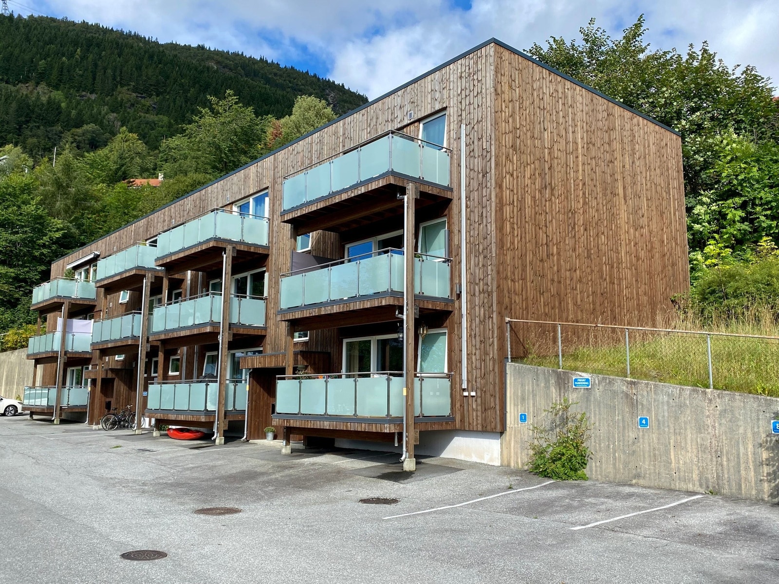 Nedre Mølster burettslag Galleribilde