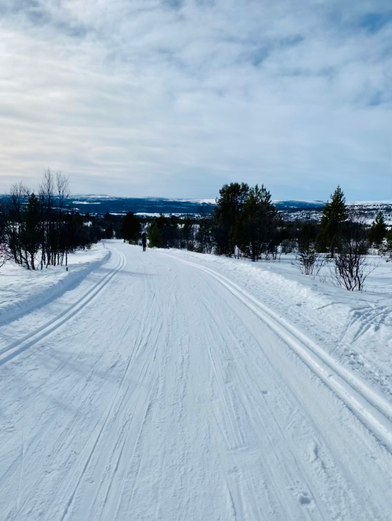 Nærområdet Galleribilde