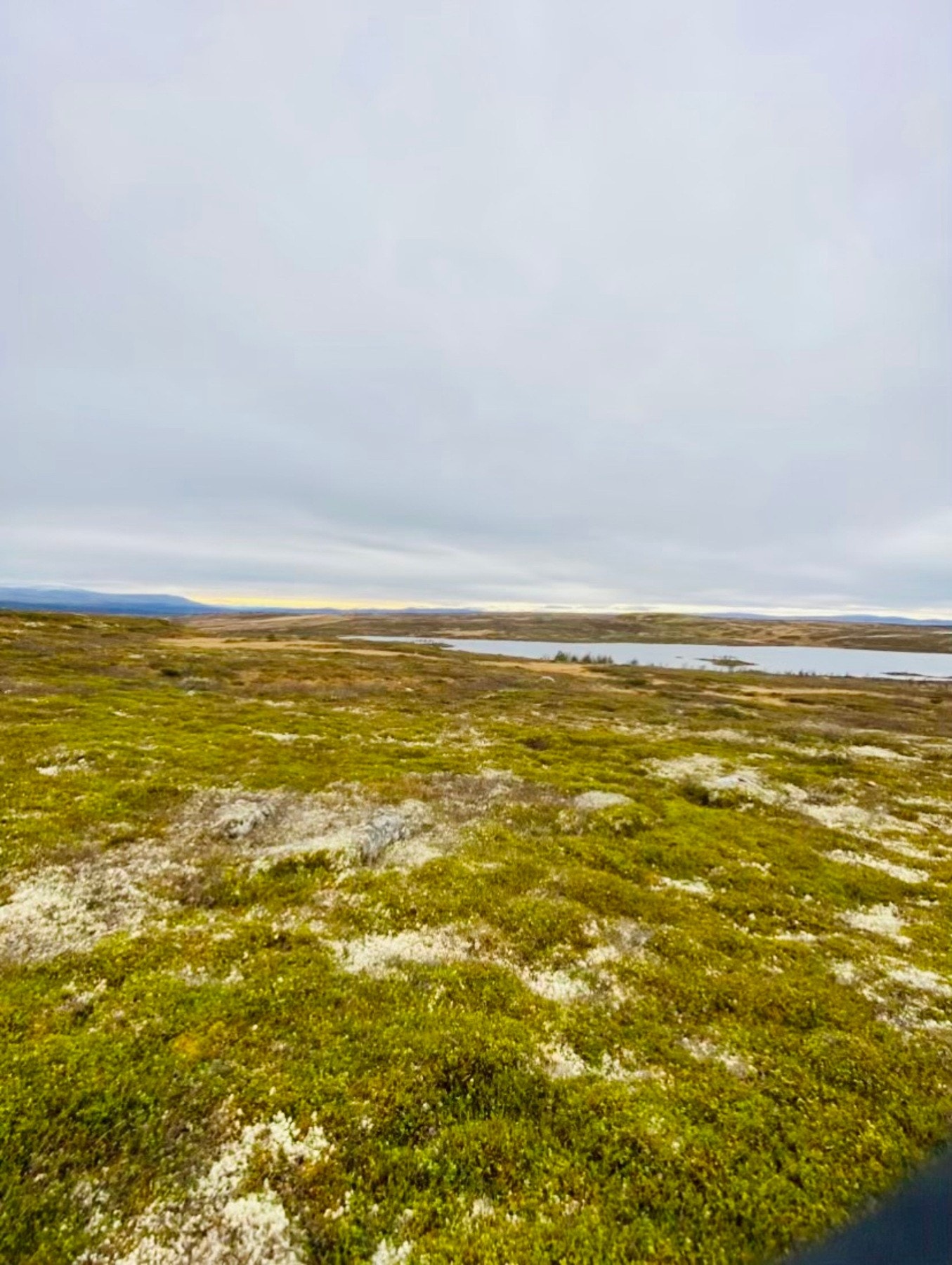 Nærområdet Galleribilde