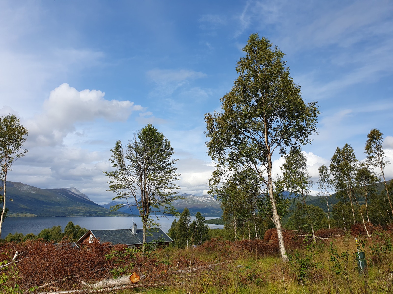Fra tomtene, med utsikt innover Gjevilvassdalen. Galleribilde