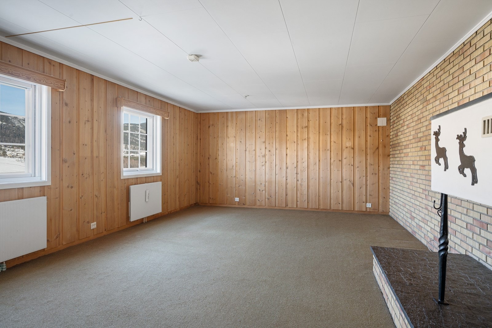 Stor kjellerstue med gruepeis Galleribilde