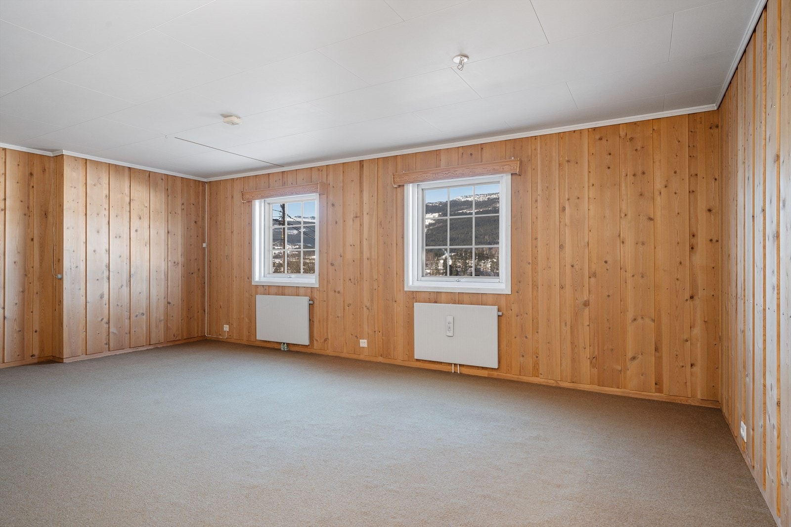 Kjellerstuen varmes opp av radiatorer og peis Galleribilde