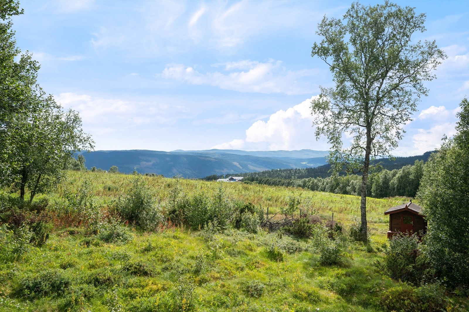 Utsikt mot dalen og innover fjellene mot vest. Galleribilde