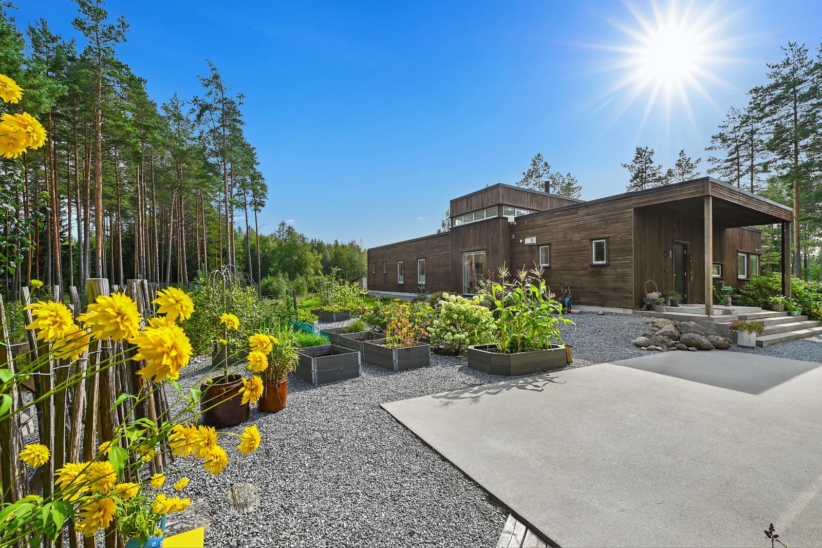 Hage med flott blomsterflora Galleribilde