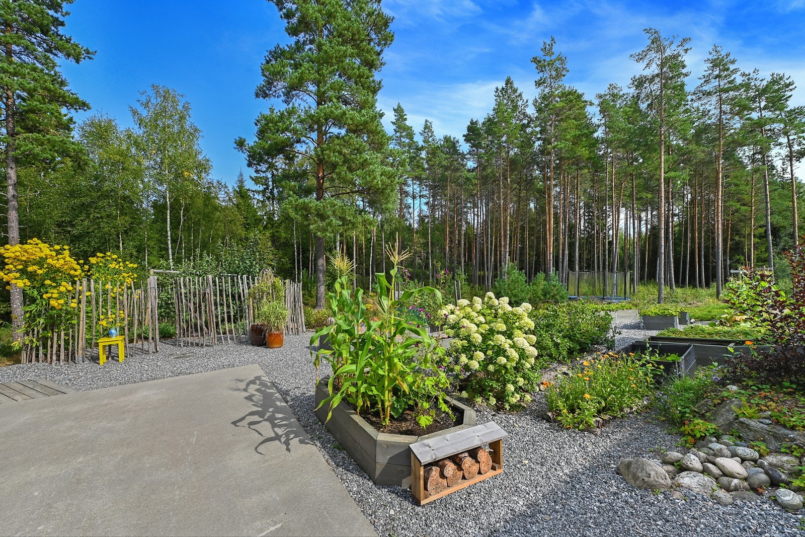 I tillegg til naturlig vegetasjon prydes tomten av en spennende samling av trær og blomster i skjønn harmoni. Galleribilde