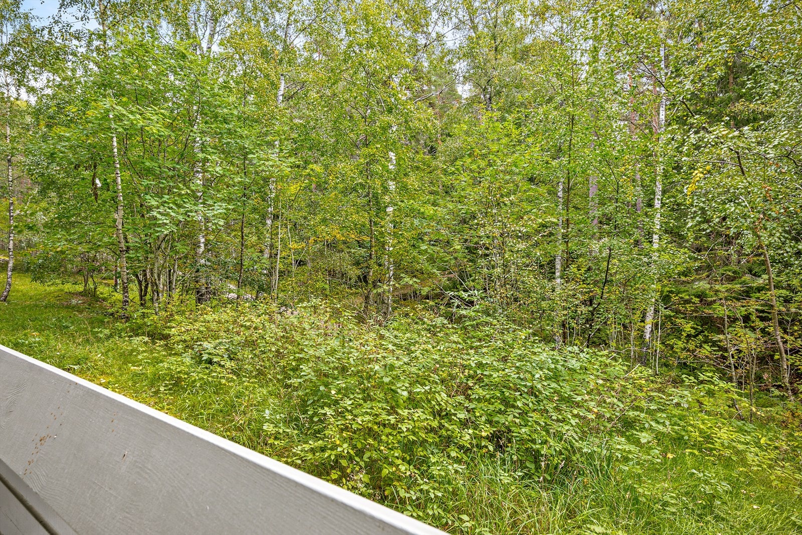 Utsyn fra balkongen Galleribilde