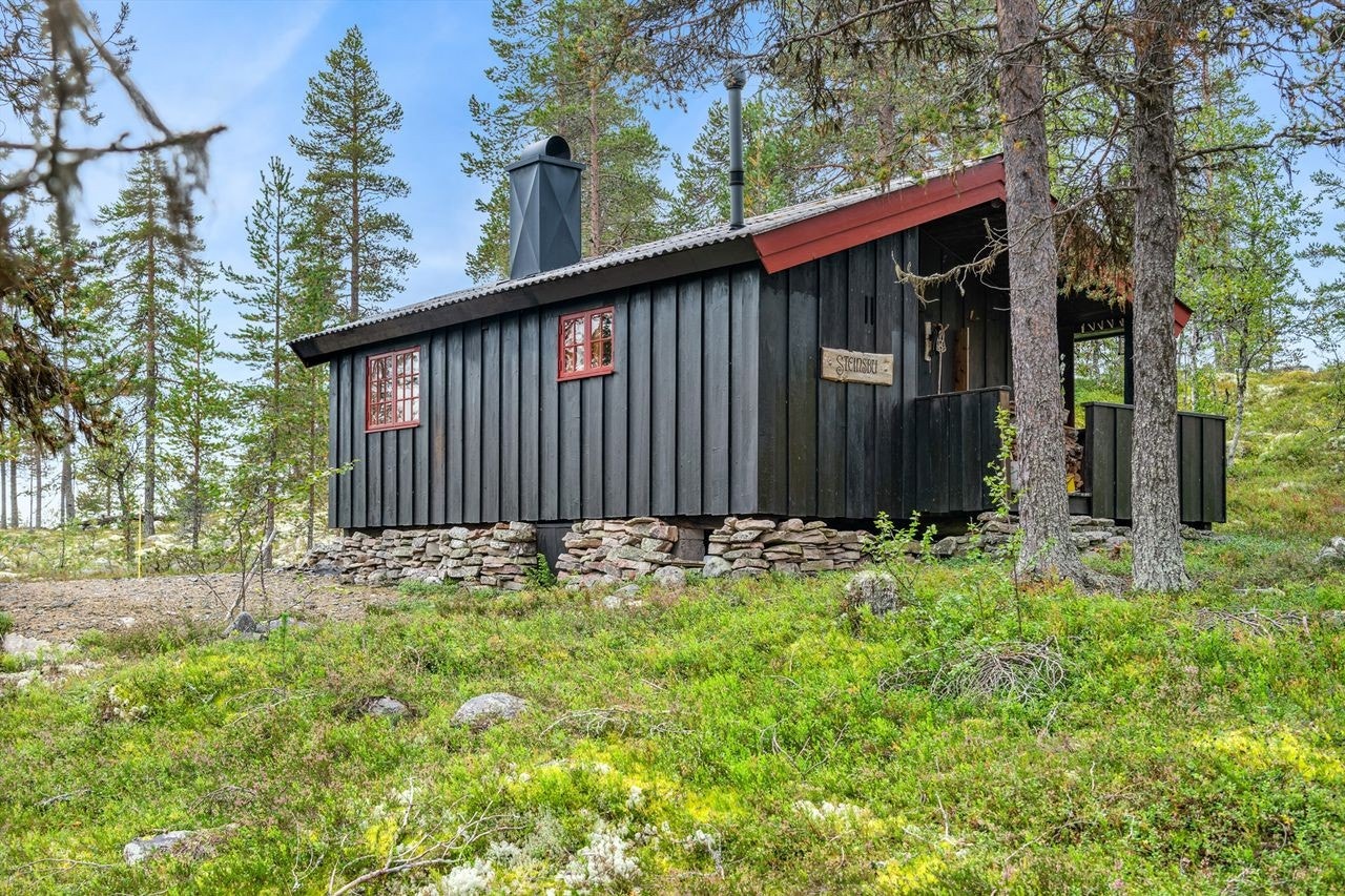 Her kan man nyte late høstdager, og flotte jaktdager for den som liker dette. Galleribilde