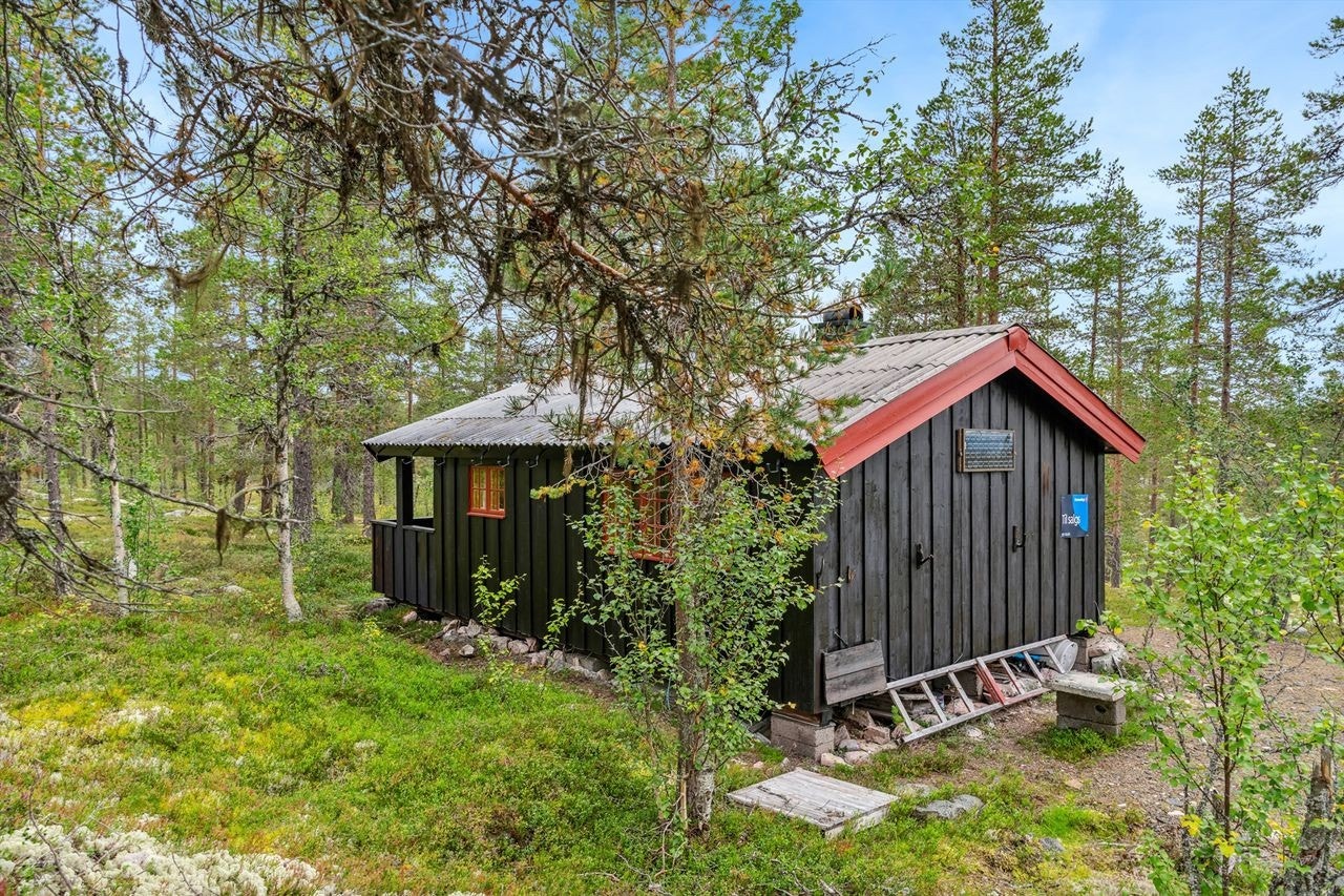 Hytta ligger usjenert til i naturskjønne omgivelser. Galleribilde