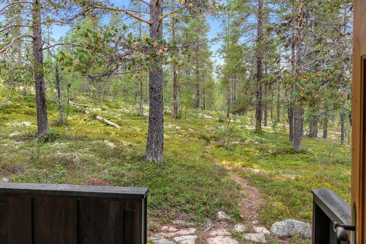 Utsikt fra terrasse utover flott natur. Galleribilde