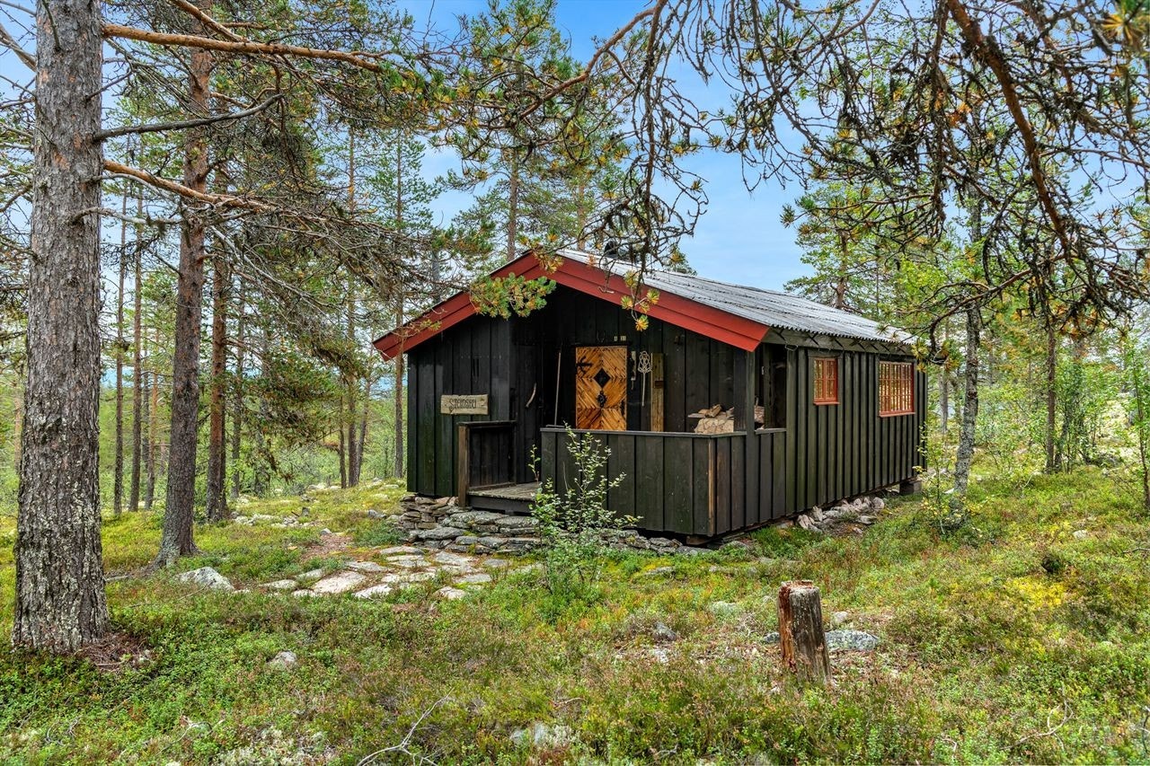 Velkommen til Gravåsen 189, Rendalen! Galleribilde
