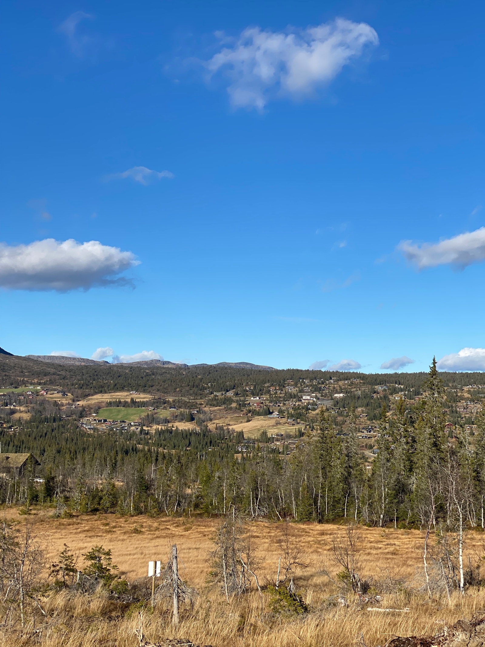 Kjoslia tomtefelt Galleribilde