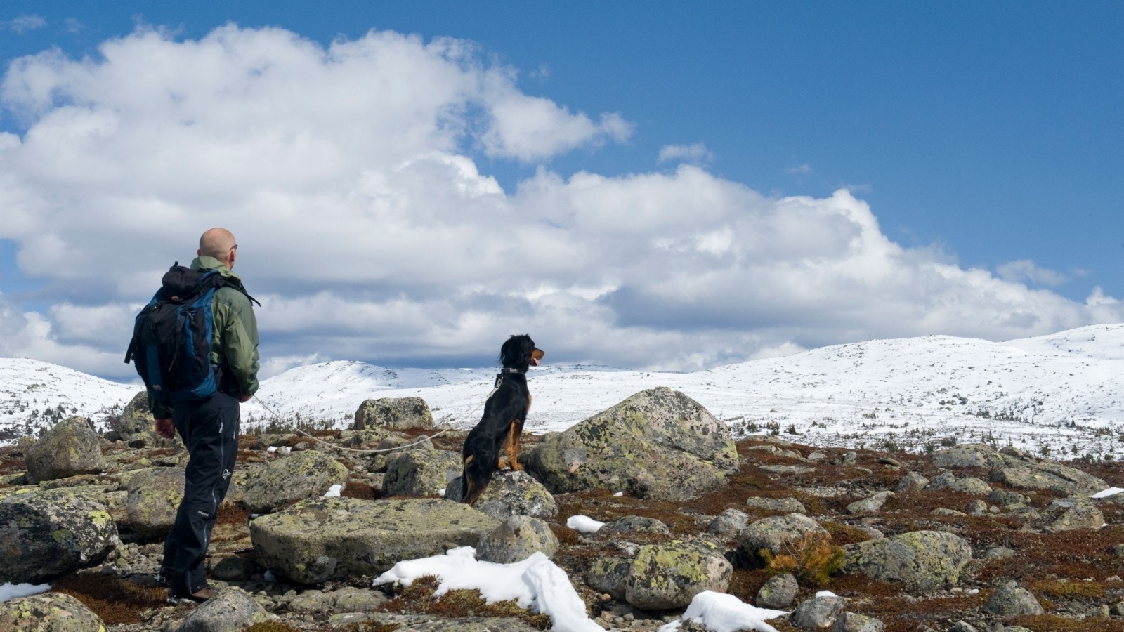 Sørbølfjell Galleribilde