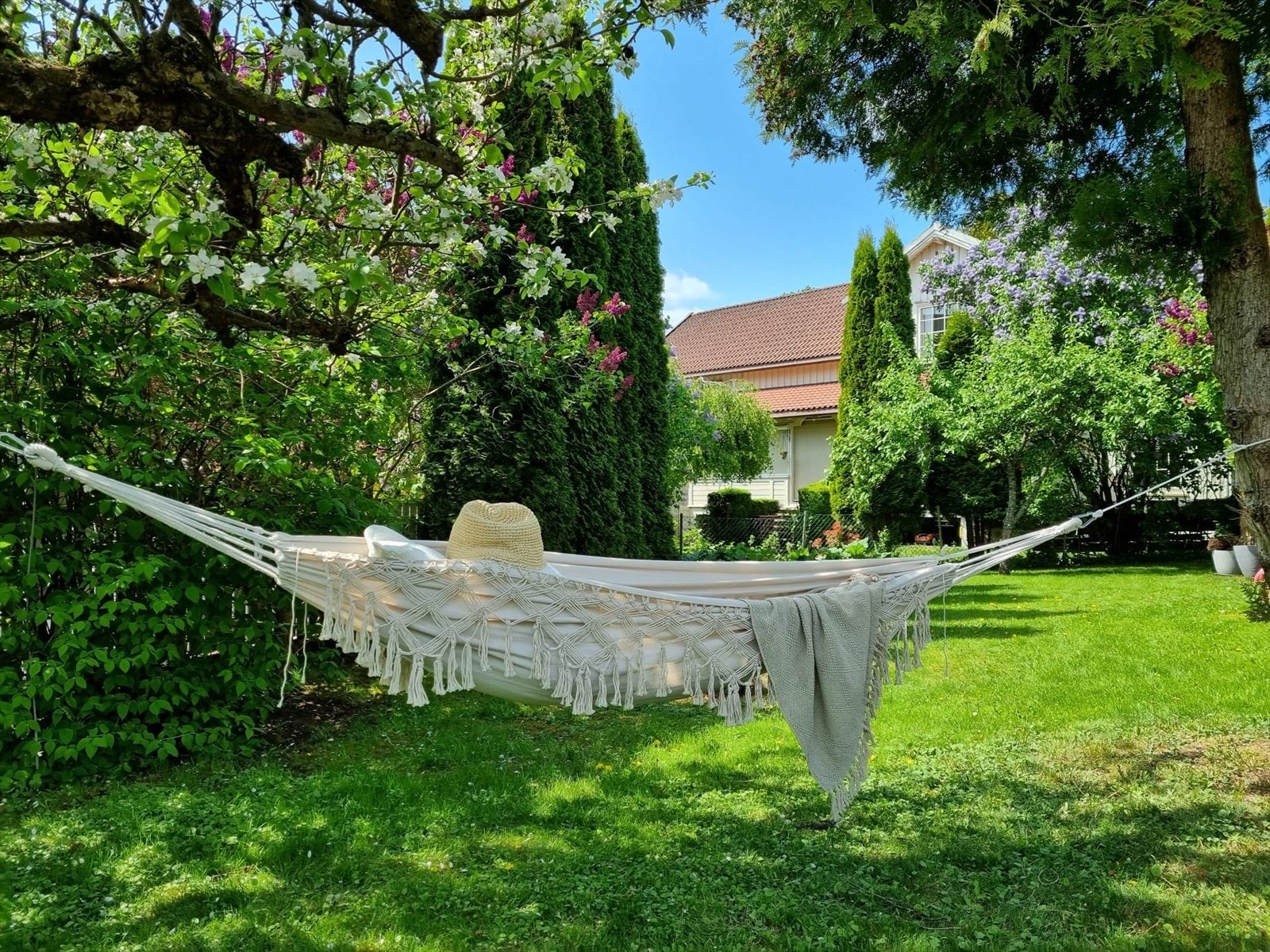 Image.jpeg Galleribilde