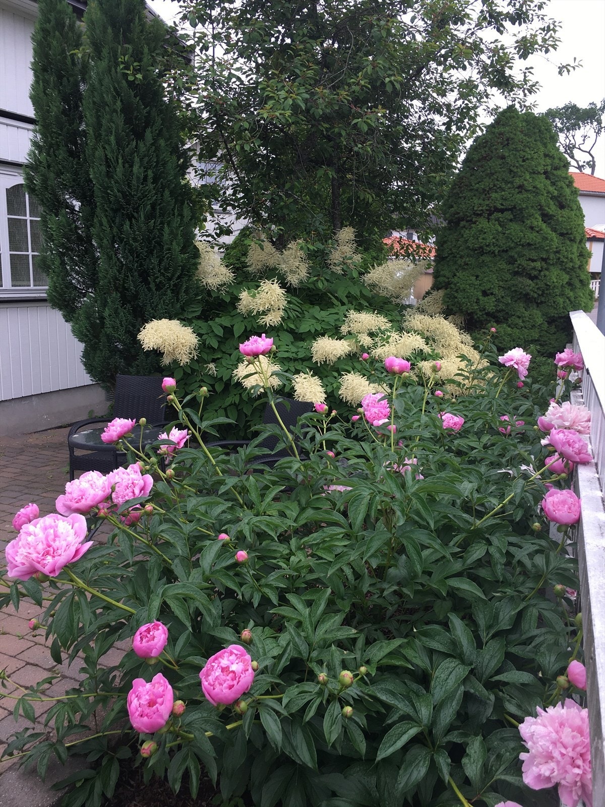 Selgers stemningsbilder. Galleribilde