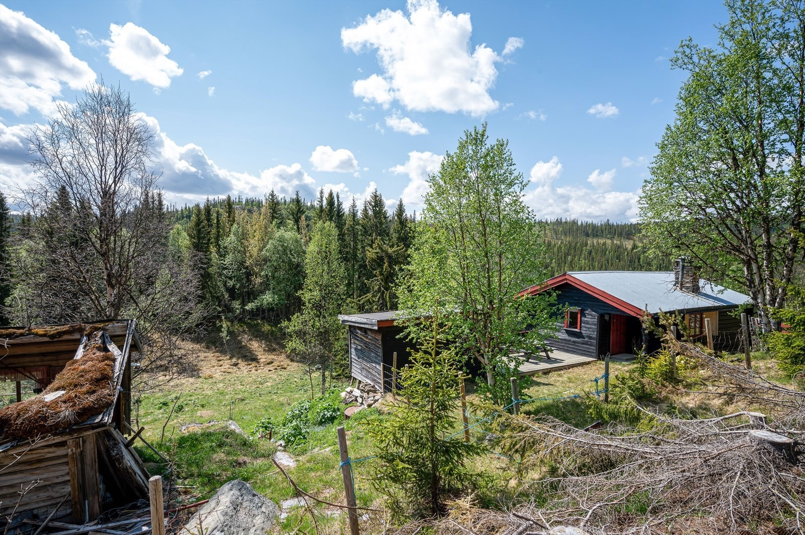 Laftekassa er eldre enn byggeår og gjenoppbygget opp her. Galleribilde