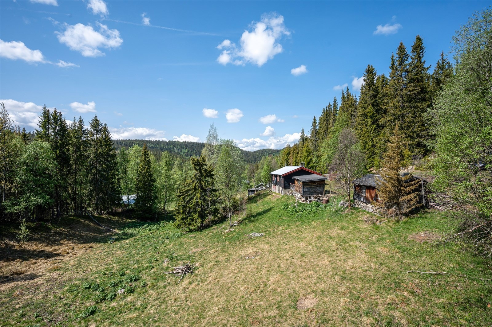Sommerveg til hytta. På vinteren går du lett til hytta på ski fra setervegen. Galleribilde