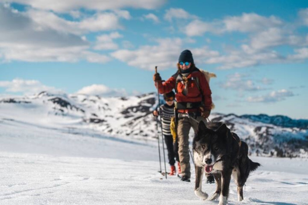 På Høgevarde får du virkelig høyfjellsfølelsen. Terrenget er også perfekt for en tur utenfor det preparerte løypenettet. Foto: Hunnalvatn Media Galleribilde