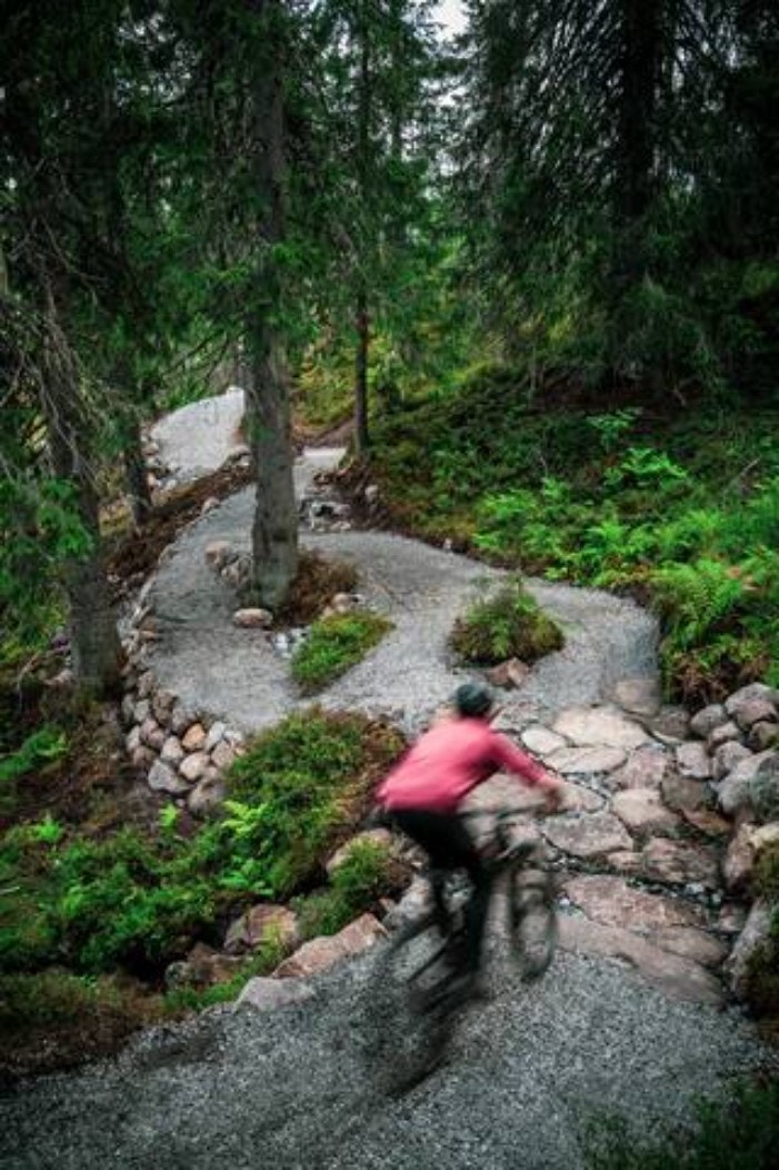 I årene fremover skal et av Europas største nettverk av spesialbygde sykkelstier bygges på Høgevarde. Her Lavvostien, like ved Fjellparken. Foto: Lars Storheim/ Halllingdal Rides Galleribilde