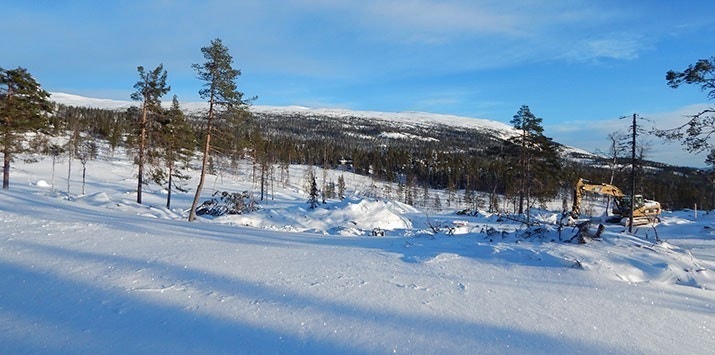 Tomt 53, 56 og 58 Galleribilde