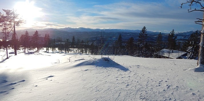 Tomt 40 Galleribilde