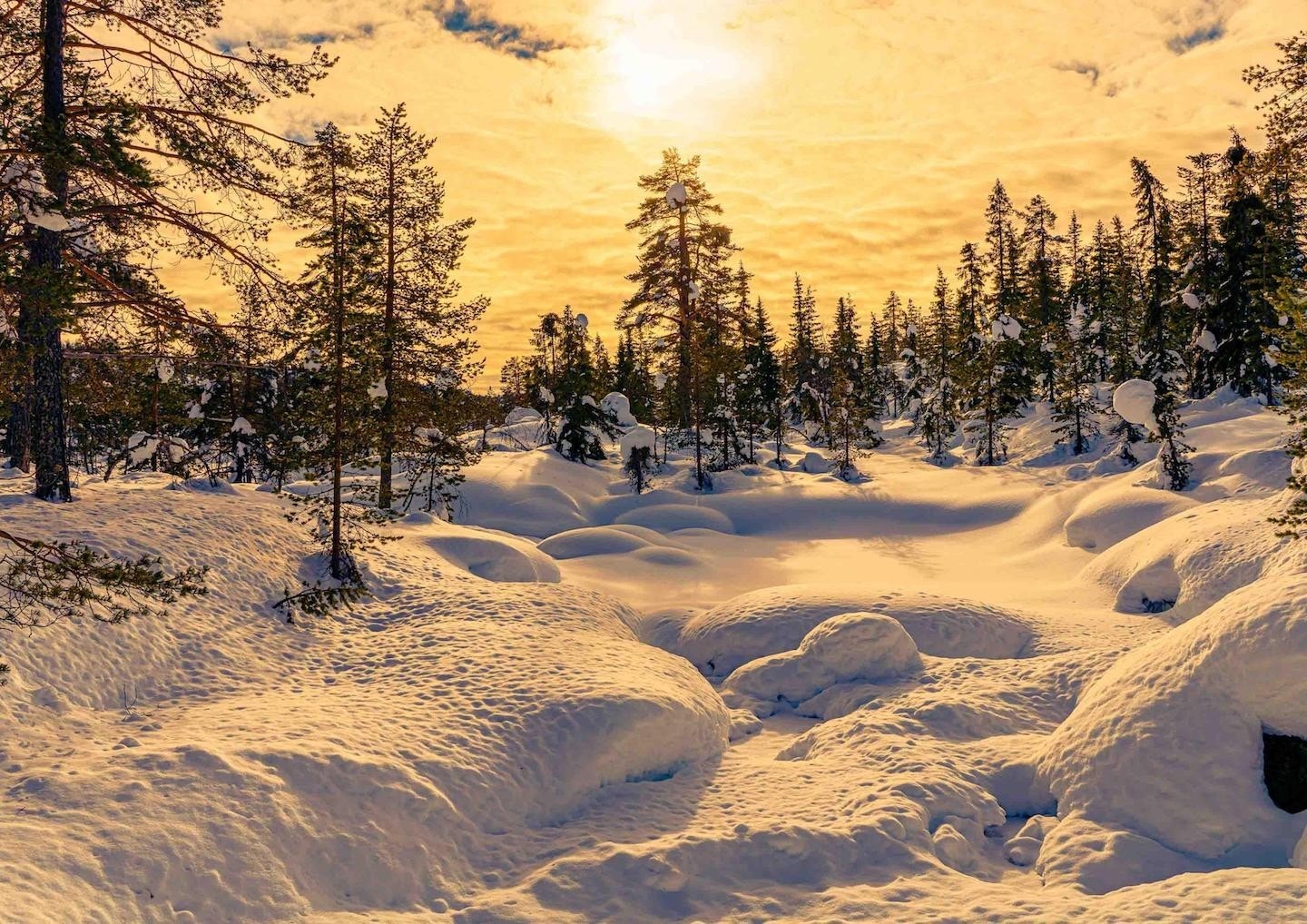 Bekkedrag mor Breiløk nedenfor hytta Galleribilde