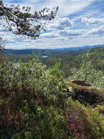 Fra tomt G8 Galleribilde