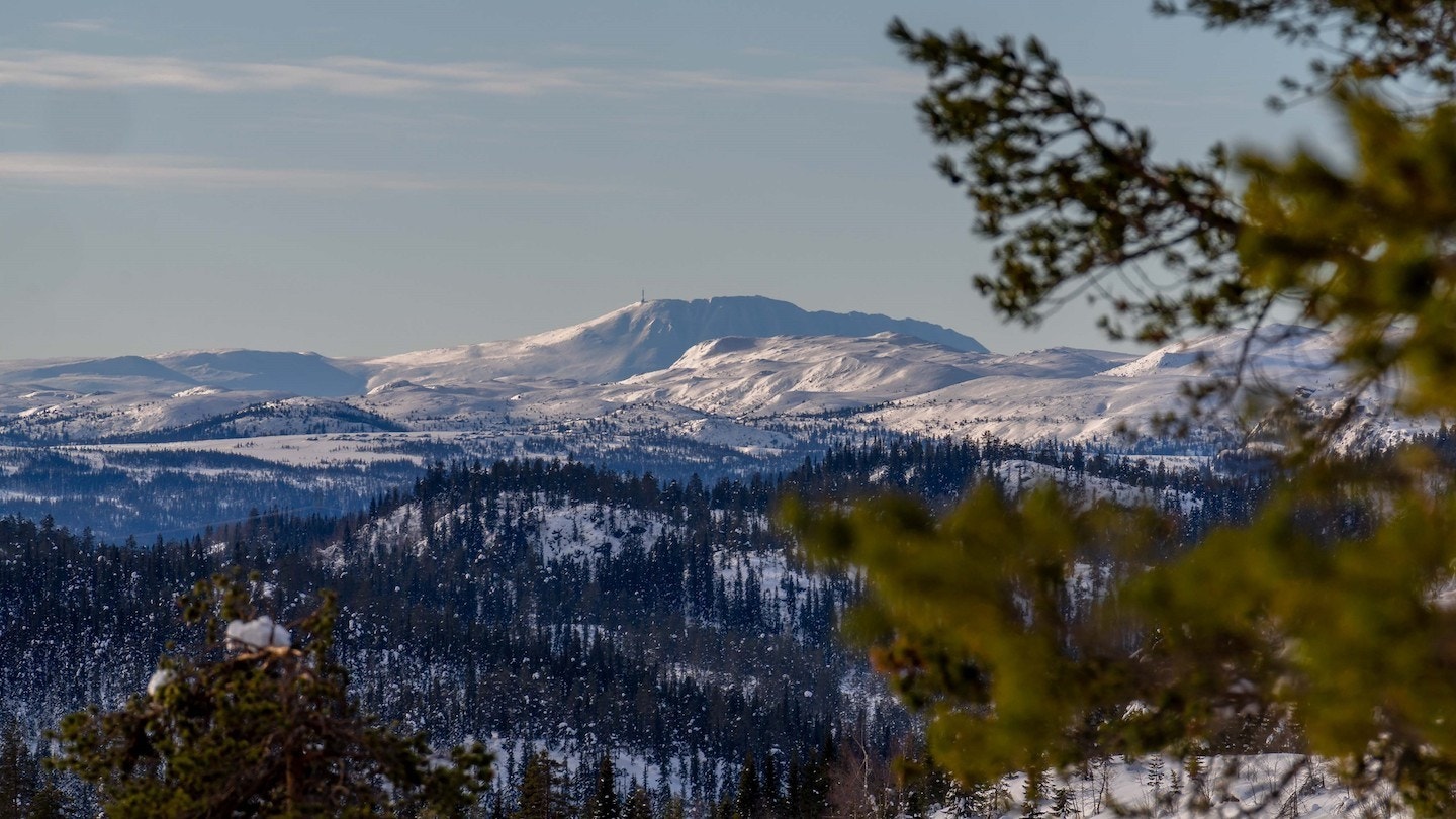 Utsikt til Gaustatoppen i det fjerne Galleribilde