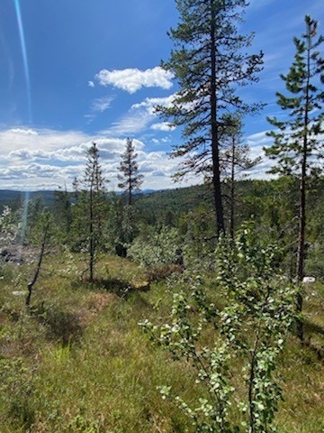 Fra tomt G8 Galleribilde