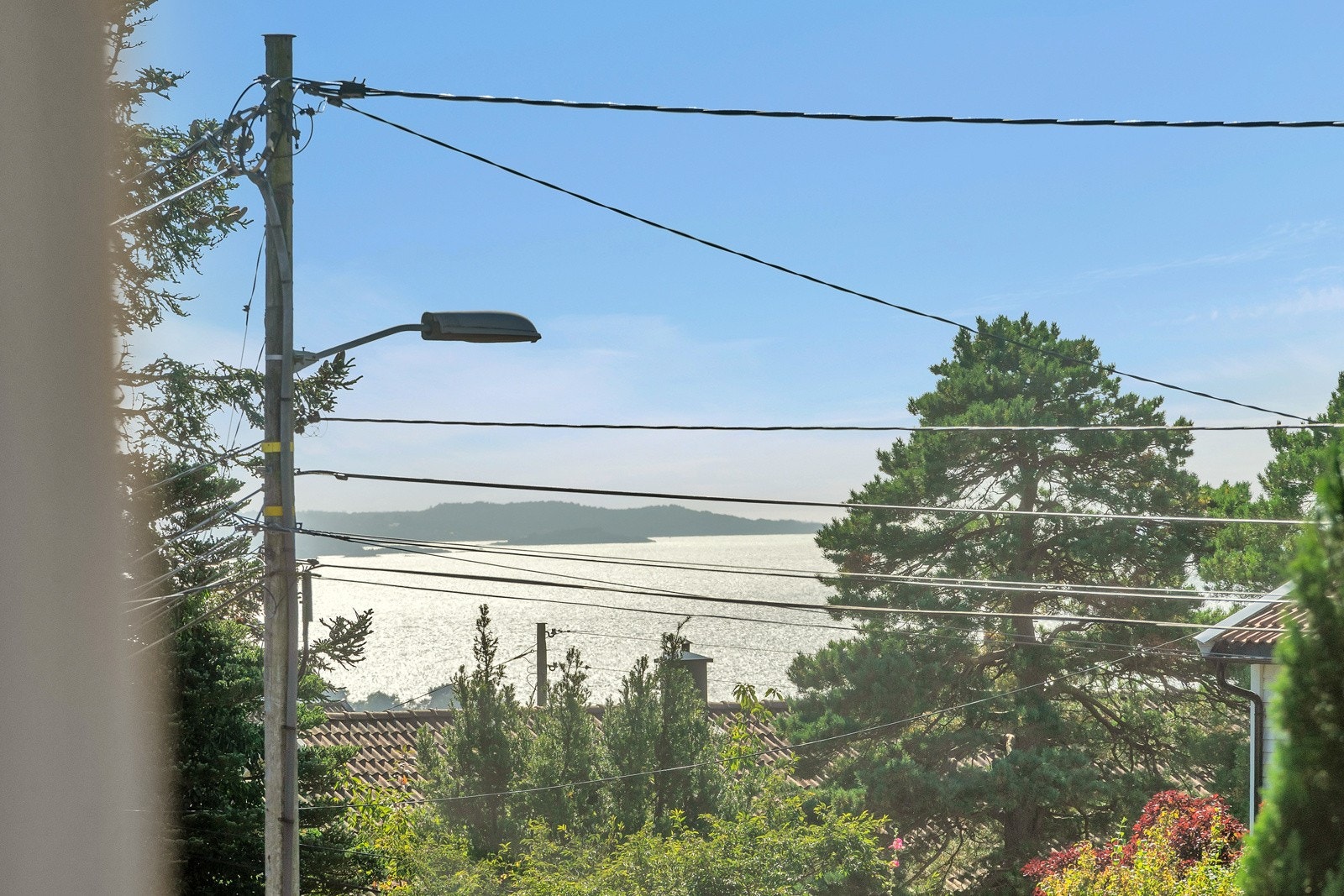 assignment-13320-1693942746177 Galleribilde