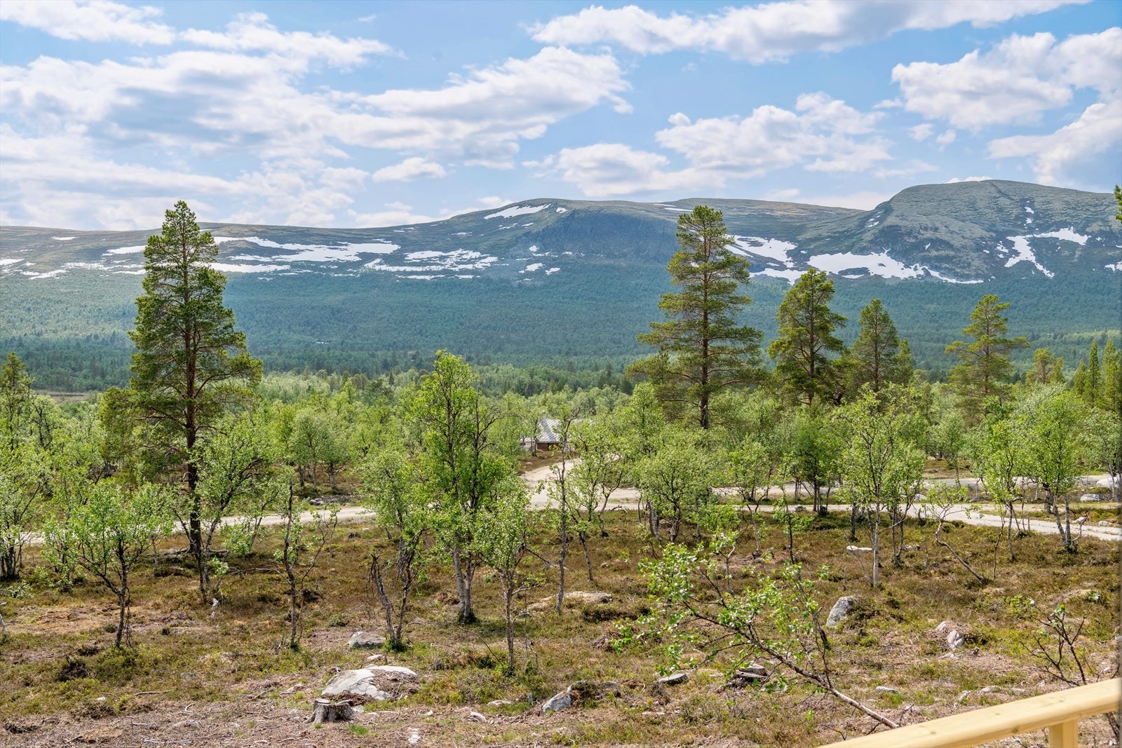 I umiddelbar nærhet er det flere god turmuligheter både sommer og vinter, både til fots og på ski. Mange muligheter for fjellturer, fiske og jakt. Galleribilde
