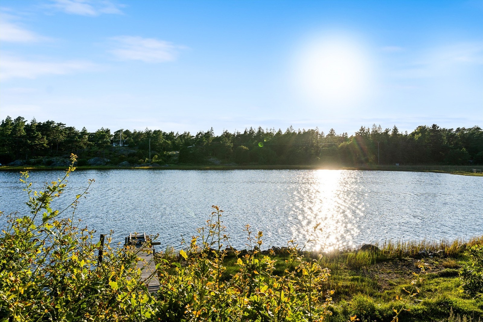 DSC04431 Galleribilde