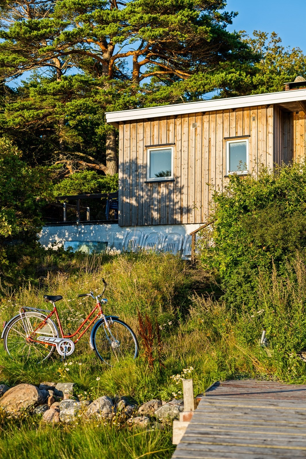 DSC04655 Galleribilde