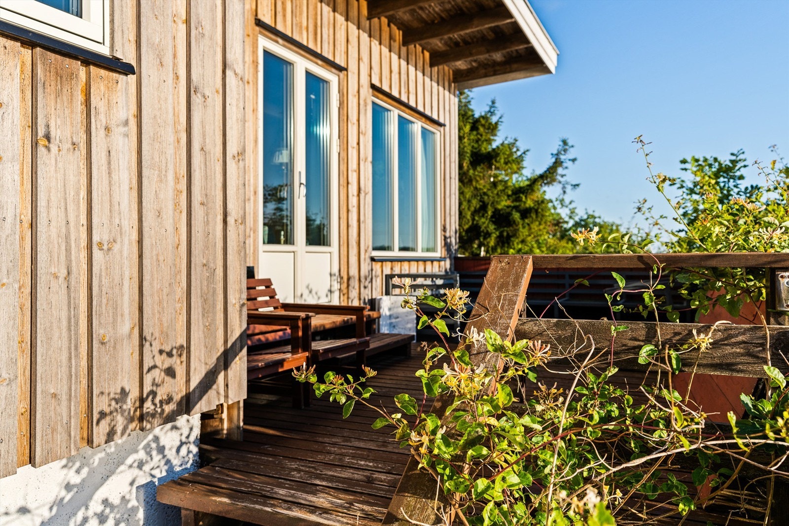 DSC04371 Galleribilde