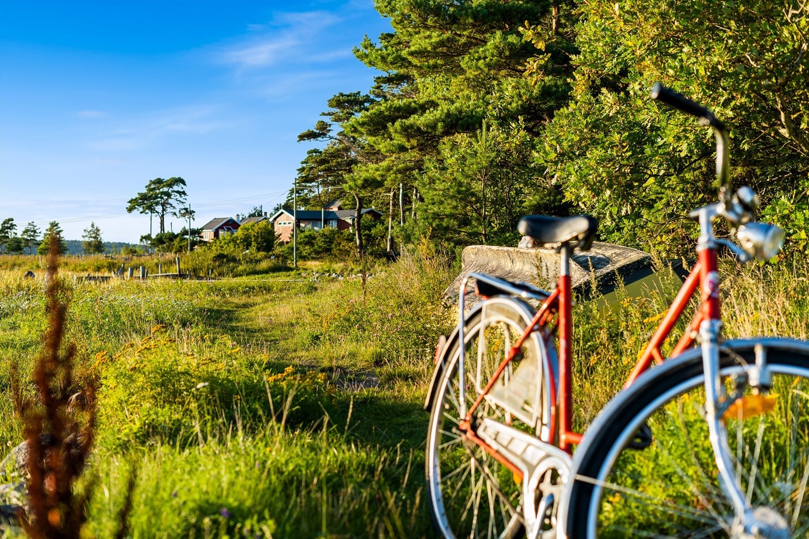 DSC04657 Galleribilde