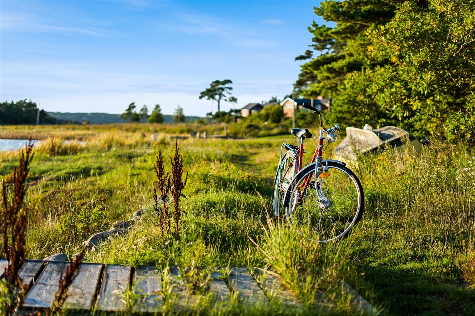 DSC04643 Galleribilde